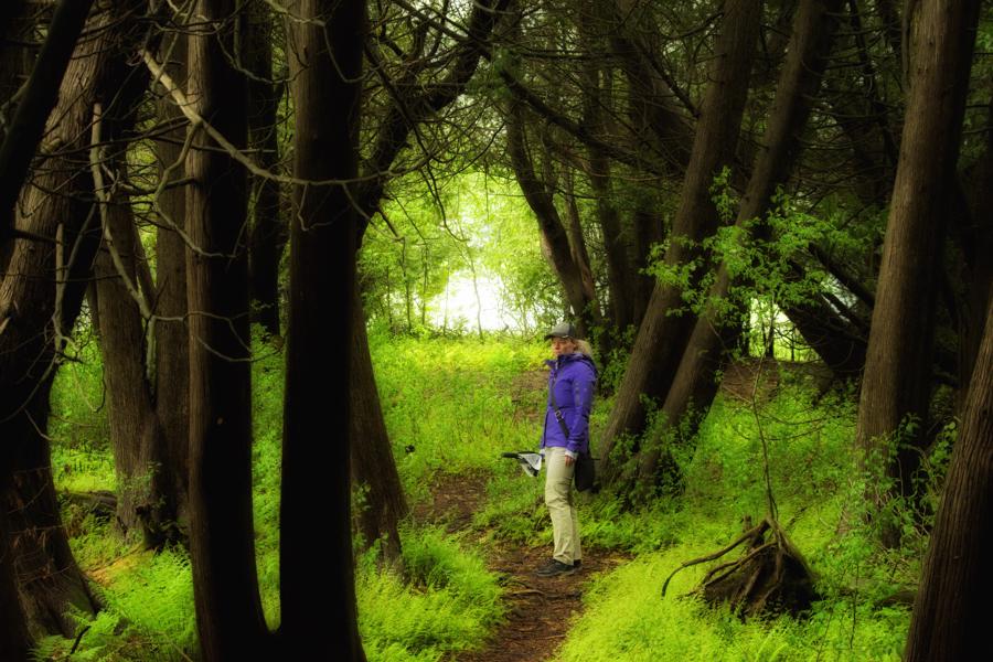 Provincial Park Adventures